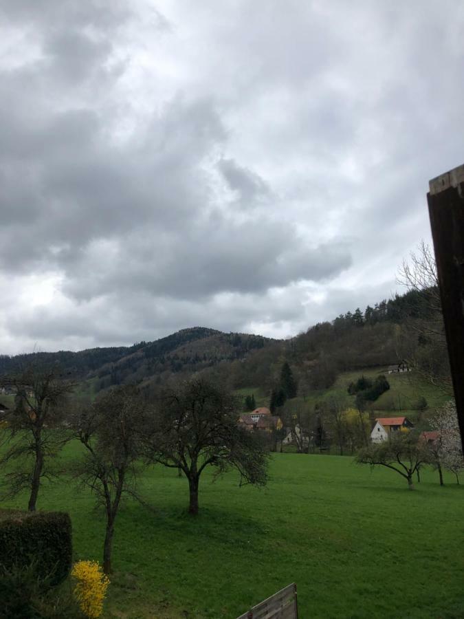 Petit Week End Dans La Vallee Breitenbach-Haut-Rhin Luaran gambar
