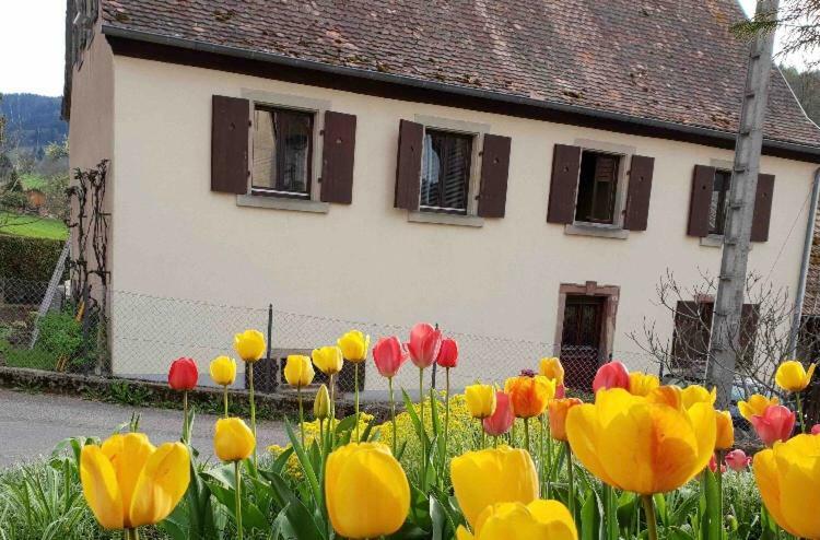 Petit Week End Dans La Vallee Breitenbach-Haut-Rhin Luaran gambar