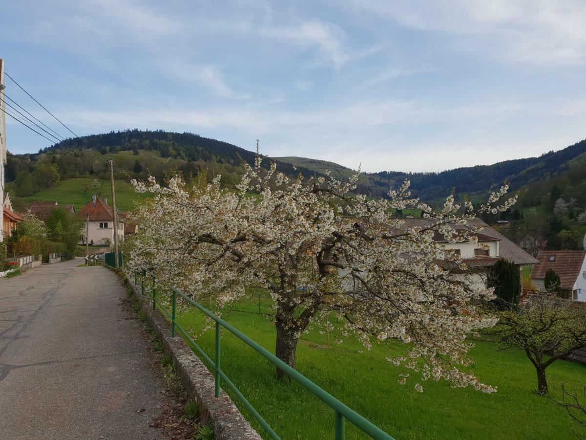 Petit Week End Dans La Vallee Breitenbach-Haut-Rhin Luaran gambar