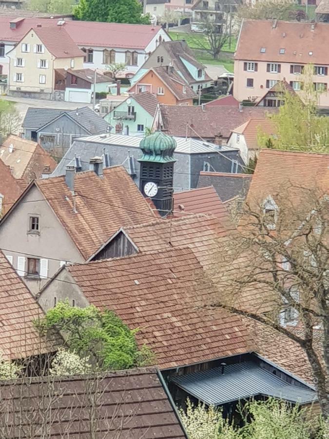 Petit Week End Dans La Vallee Breitenbach-Haut-Rhin Luaran gambar