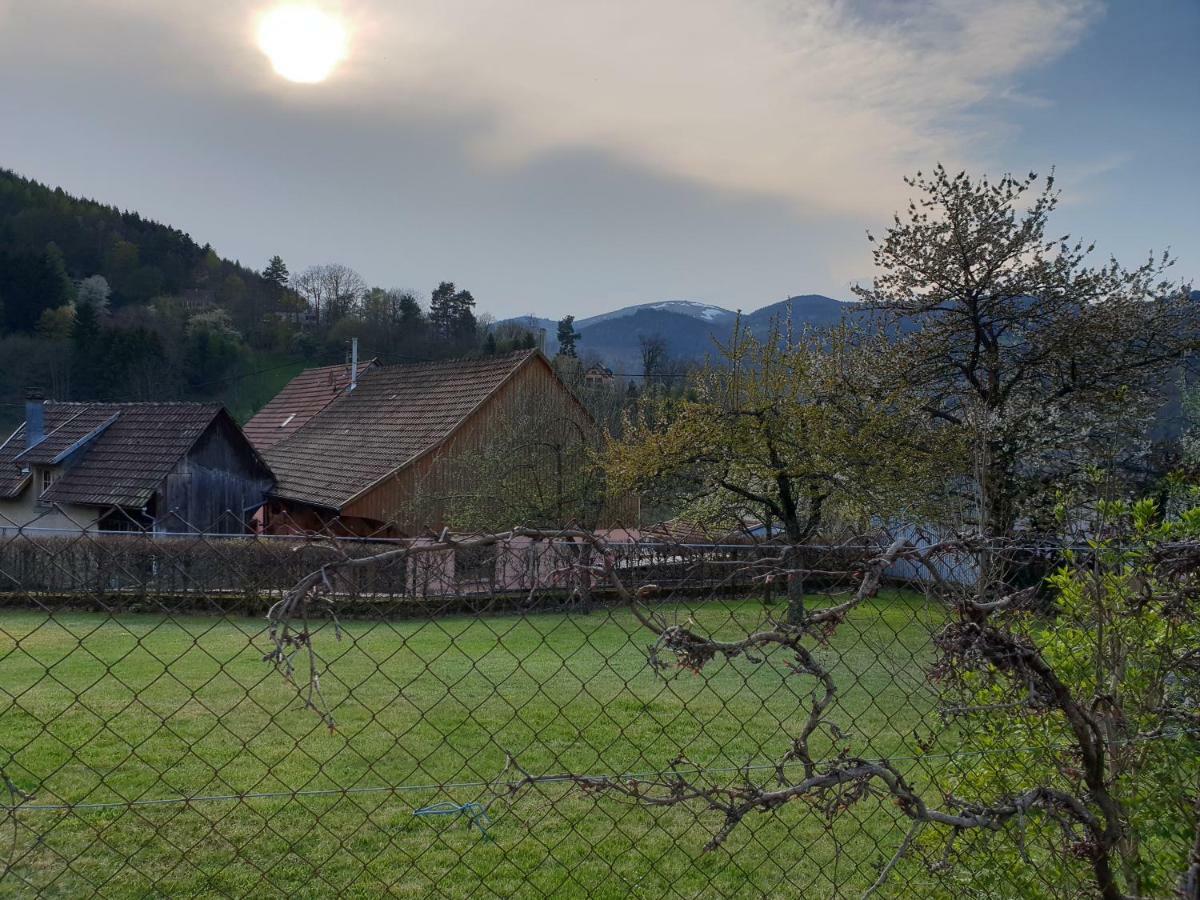 Petit Week End Dans La Vallee Breitenbach-Haut-Rhin Luaran gambar