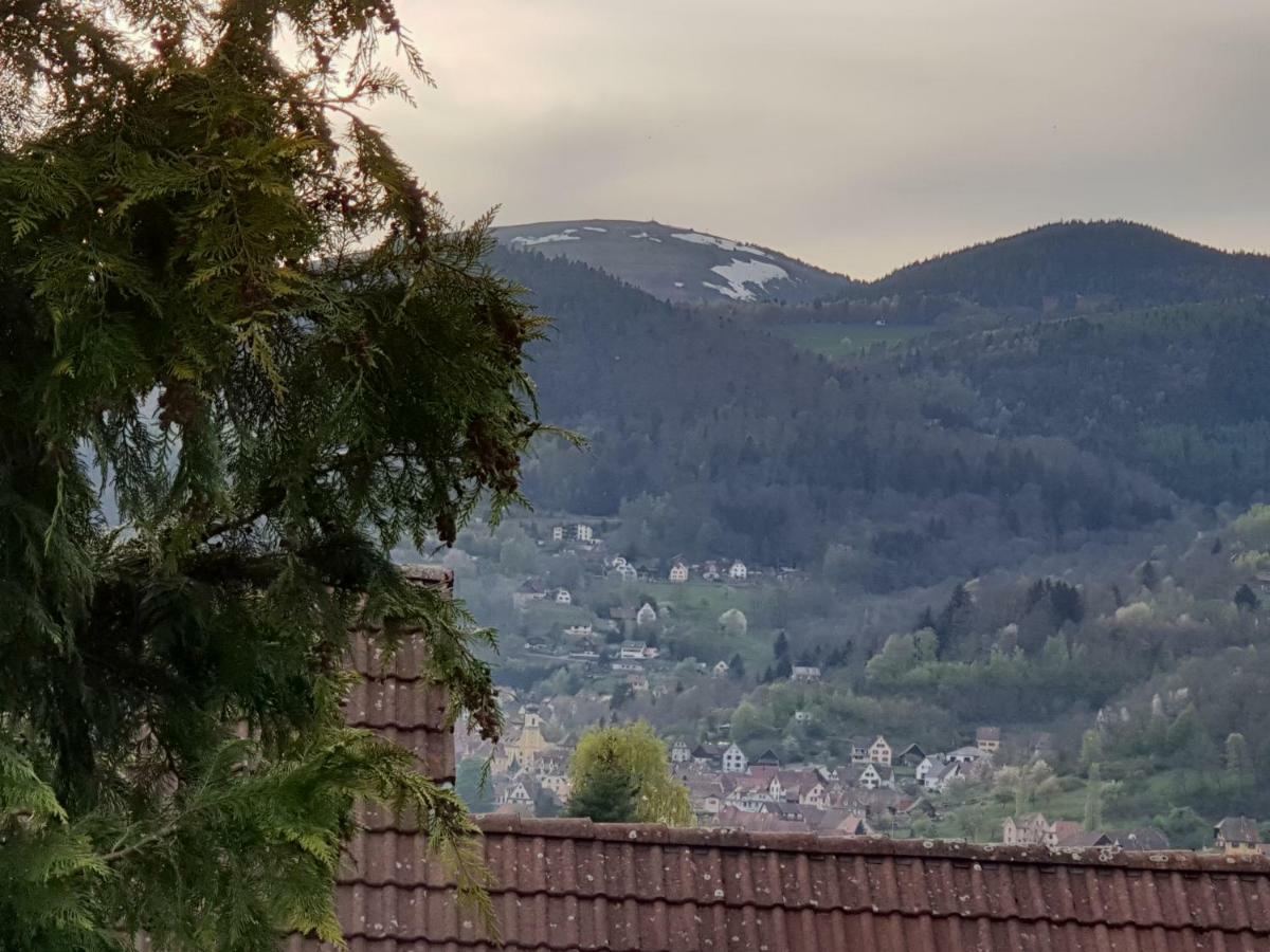 Petit Week End Dans La Vallee Breitenbach-Haut-Rhin Luaran gambar