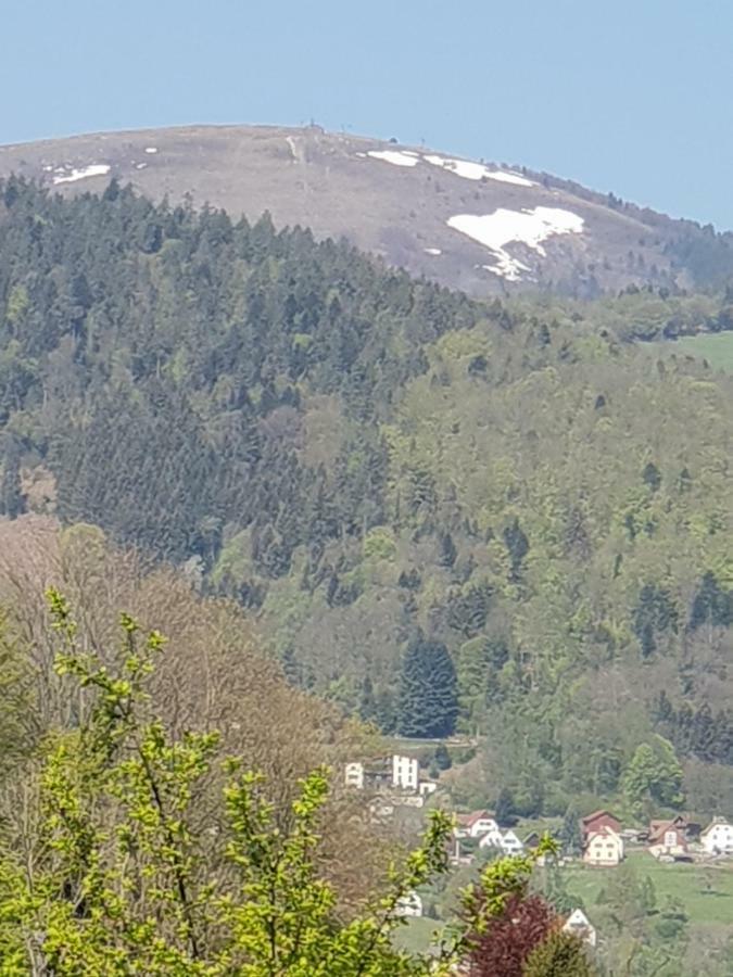 Petit Week End Dans La Vallee Breitenbach-Haut-Rhin Luaran gambar