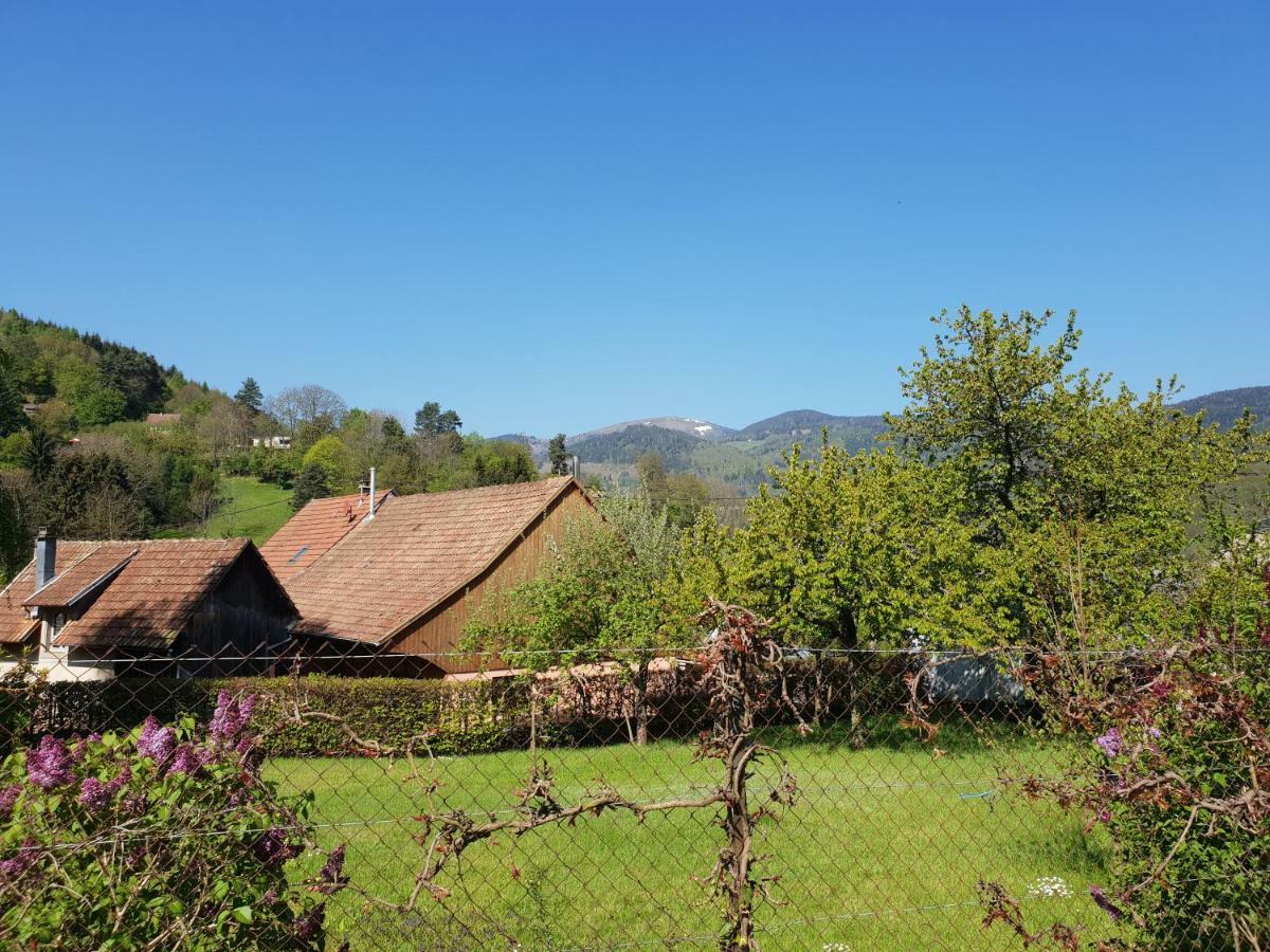 Petit Week End Dans La Vallee Breitenbach-Haut-Rhin Luaran gambar