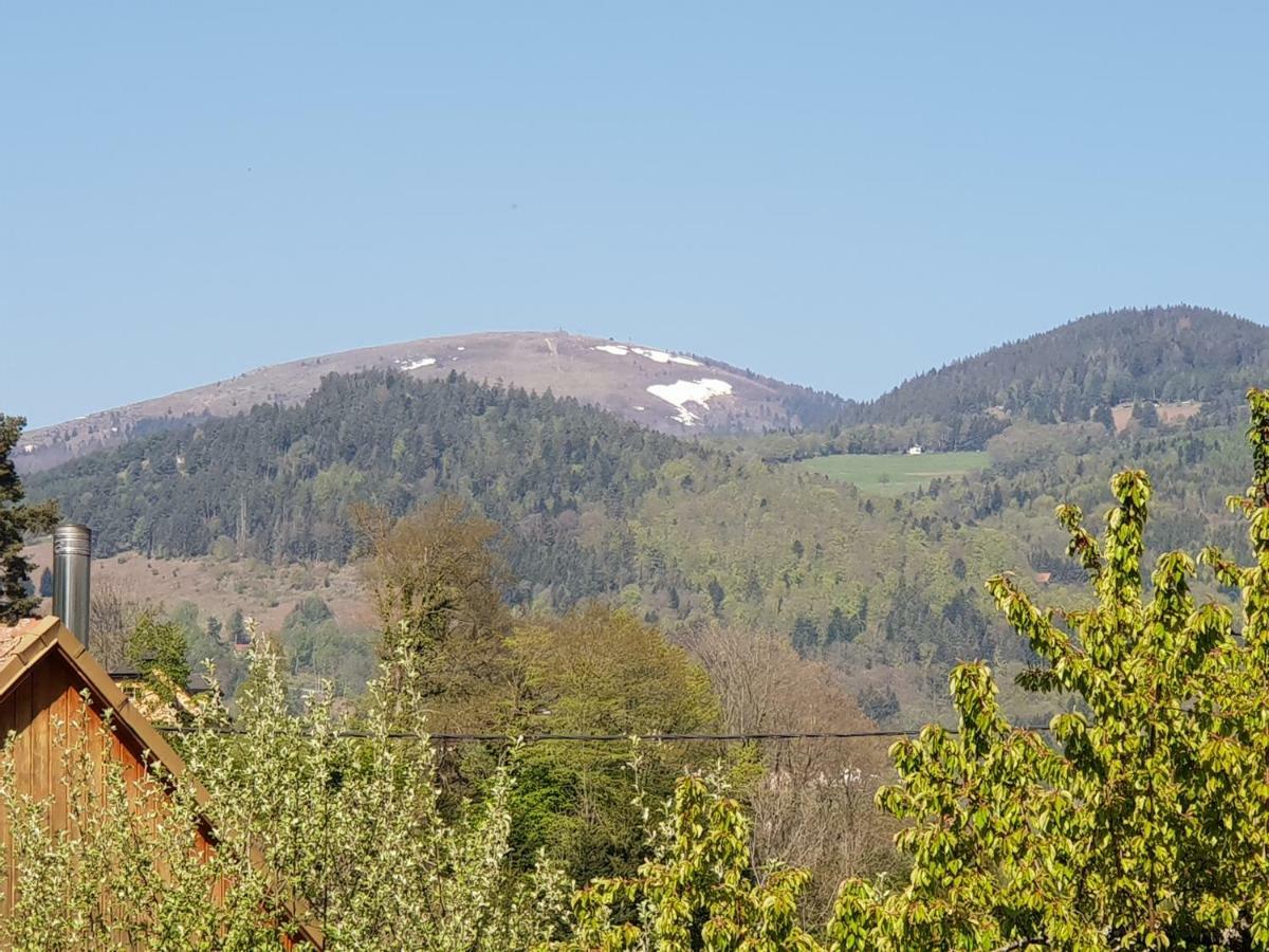 Petit Week End Dans La Vallee Breitenbach-Haut-Rhin Luaran gambar