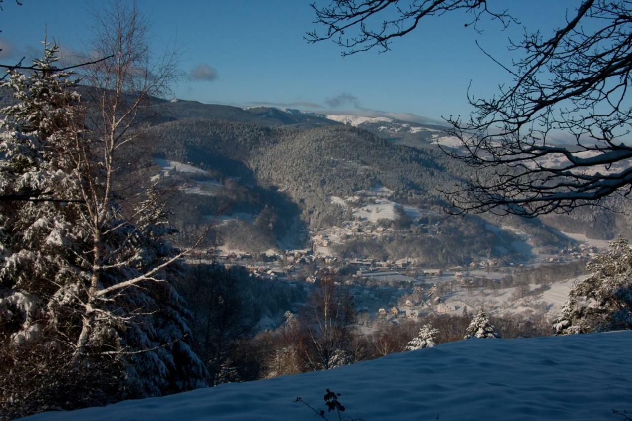 Petit Week End Dans La Vallee Breitenbach-Haut-Rhin Luaran gambar