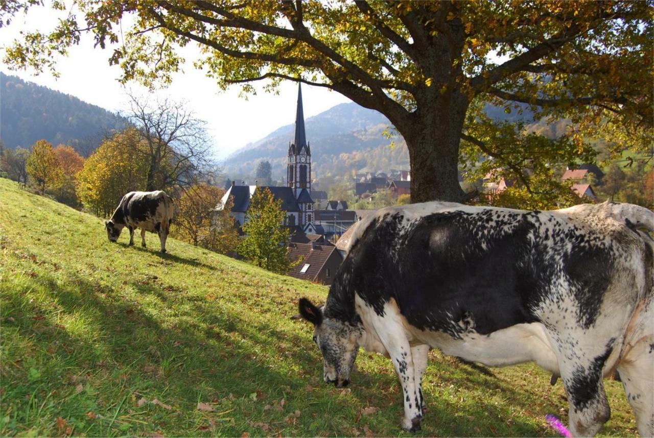Petit Week End Dans La Vallee Breitenbach-Haut-Rhin Luaran gambar