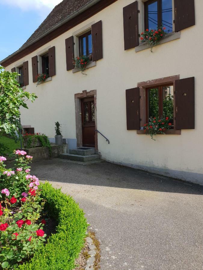 Petit Week End Dans La Vallee Breitenbach-Haut-Rhin Luaran gambar
