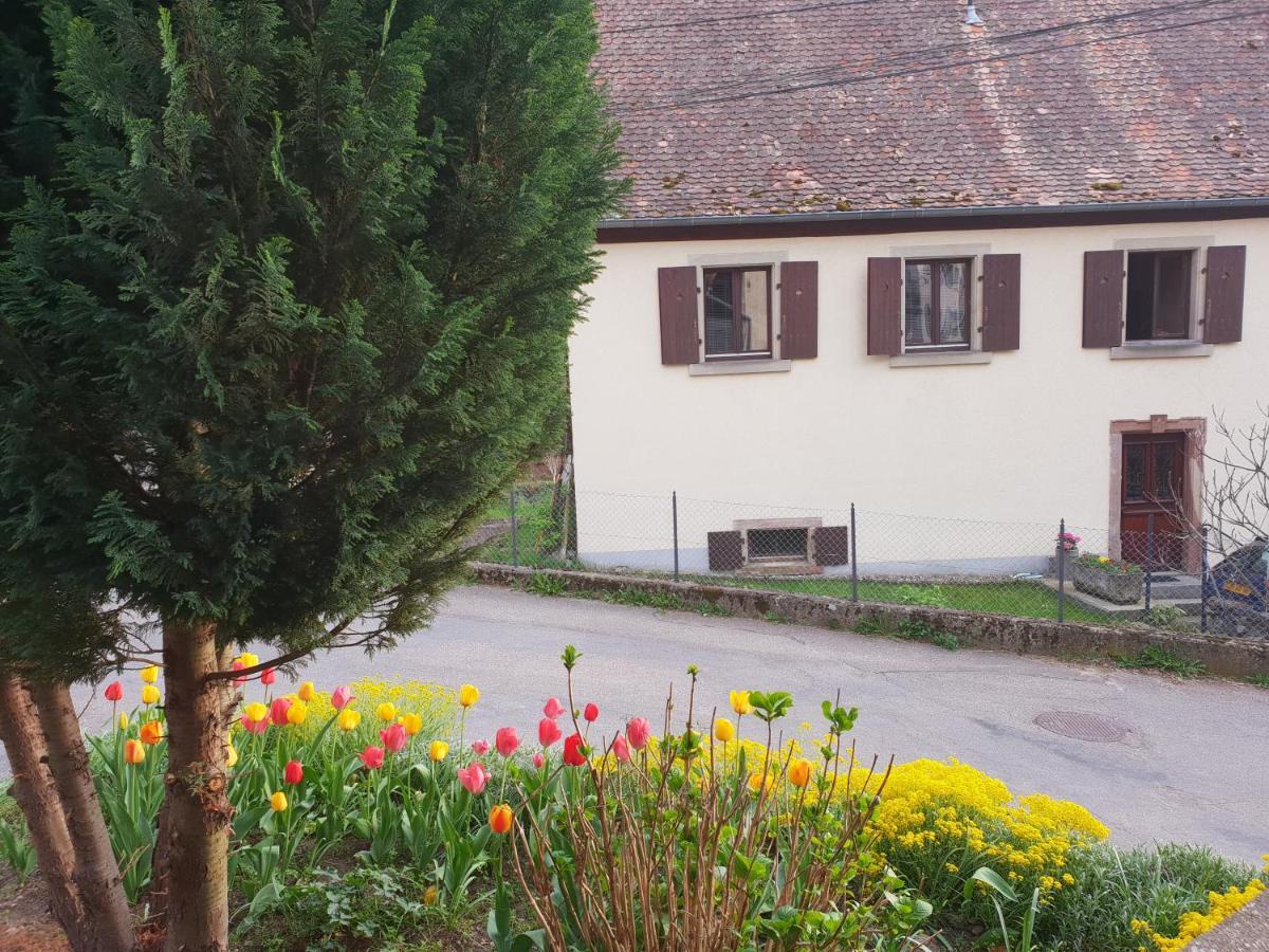 Petit Week End Dans La Vallee Breitenbach-Haut-Rhin Luaran gambar